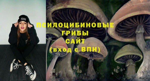МДМА Ладушкин