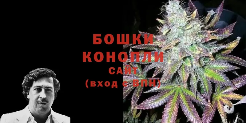 Бошки Шишки White Widow  продажа наркотиков  МЕГА вход  Орёл 